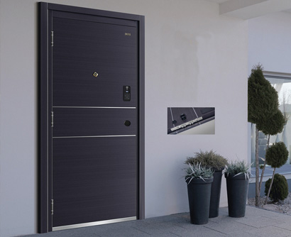 Stainless Steel Doors